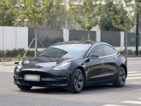 特斯拉 Model 3(进口) 2019款 长续航后驱版