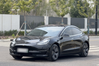 特斯拉 Model 3(进口) 2019款 长续航后驱版