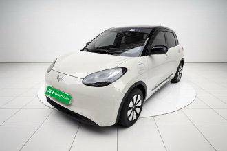 五菱汽车 五菱缤果 2024款 333km 灵犀互联款