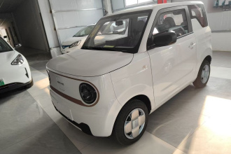 吉利银河 2024款 熊猫mini 200km 耐力熊