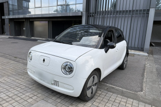 欧拉黑猫 2021款 301km 基础型