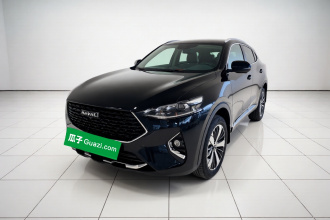 哈弗F7x 2019款 2.0T 两驱极智科技版