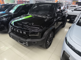 捷途山海 捷途旅行者C-DM 2024款 C-DM 208KM 山野版