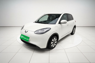 五菱汽车 五菱缤果 2024款 333km 悦享款