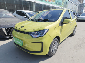 思皓 花仙子 2021款 200km 经典型