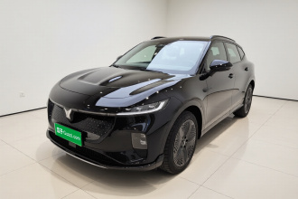 岚图汽车 岚图知音 2024款 四驱全球版