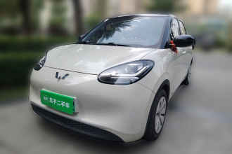 五菱汽车 五菱缤果 2023款 203km 轻享款