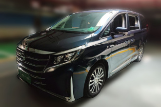 广汽传祺 传祺M8 2021款 领秀系列 390T 至尊版