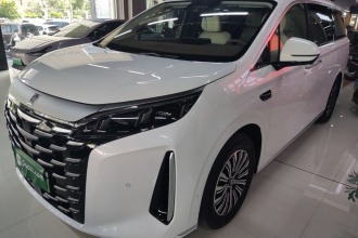 比亚迪 夏 2025款 DM-i 1.5T 100km 领先型