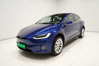 特斯拉 Model X 2019款 长续航版