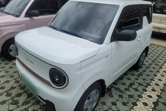 吉利银河 2024款 熊猫mini 200km 耐力熊