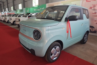 吉利银河 2024款 熊猫mini 200km 耐力熊