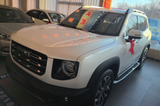 哈弗大狗 2021款 2.0T DCT两驱中华猎犬版