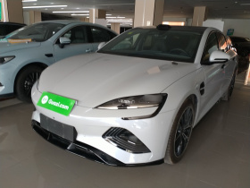 比亚迪 海豹 2025款 改款 650智驾版