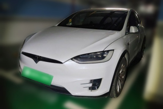 特斯拉 Model X 2019款 长续航版