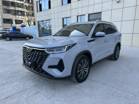 奇瑞 瑞虎8 PRO 2024款 冠军版 290T 两驱闪耀版 5座