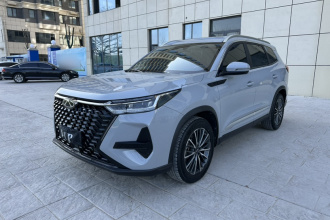 奇瑞 瑞虎8 PRO 2024款 冠军版 290T 两驱闪耀版 5座