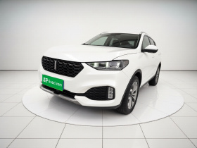 魏牌 VV6 2018款 2.0T 两驱超豪型 国V