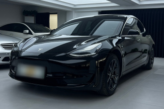 特斯拉 Model 3 2020款 标准续航后驱升级版