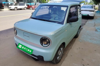 吉利银河 2023款 熊猫mini 120km 超萌熊