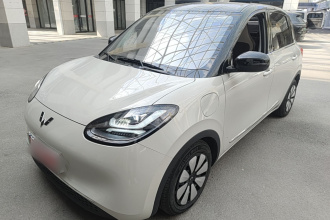 五菱汽车 五菱缤果 2024款 333km 悦享款