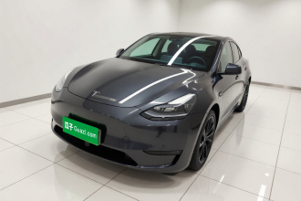 特斯拉 Model Y 2024款 后轮驱动版