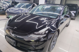 特斯拉 Model 3 2020款 改款 标准续航后驱升级版