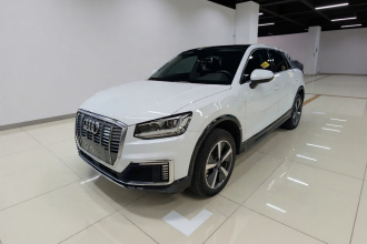 奥迪Q2L e-tron 2019款 Q2L e-tron 纯电智享型