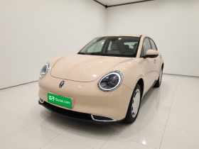 欧拉好猫 2021款 400km标准续航 缪斯版 磷酸铁锂