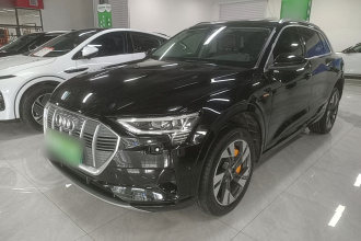 奥迪e-tron(进口) 2019款 55 quattro 技术型