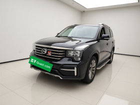 广汽传祺 传祺GS8 2020款 390T 两驱豪华智联版（七座）