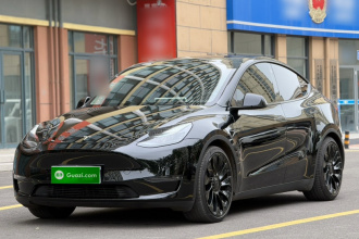 特斯拉 Model Y 2022款 Performance高性能全轮驱动版