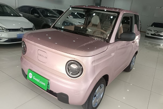 吉利银河 2023款 熊猫mini 200km 耐力熊