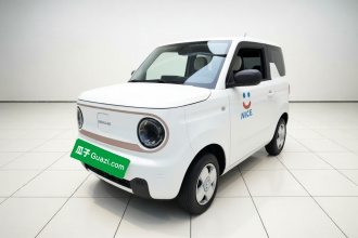 吉利银河 2023款 熊猫mini 200km 耐力熊