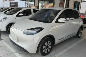 五菱汽车 五菱缤果 2023款 203km 舒享款