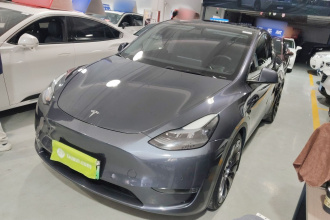 特斯拉 Model Y 2022款 Performance高性能全轮驱动版