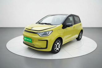 思皓 花仙子 2021款 集美版 302km 豪华型