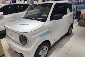 吉利银河 2023款 熊猫mini 200km 耐力熊