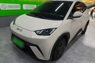 比亚迪 海鸥 2024款 荣耀版 305km 活力版