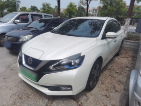 日产 轩逸·纯电 2018款 智尊版