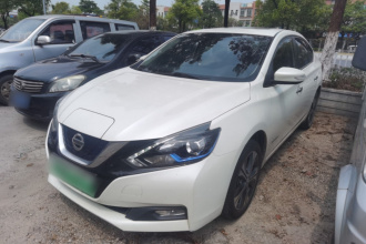 日产 轩逸·纯电 2018款 智尊版