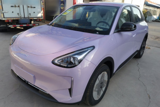 吉利银河 星愿 2026款 310km 梦想版