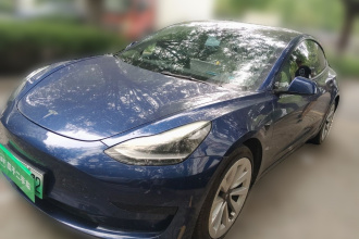 特斯拉 Model 3 2021款 标准续航后驱升级版 3D6
