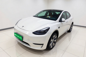特斯拉 Model Y 2022款 后轮驱动版
