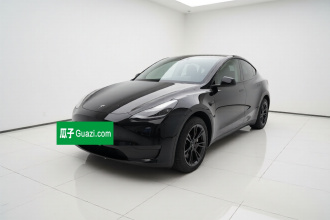特斯拉 Model Y 2023款 后轮驱动版