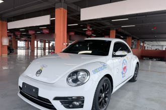 大众 甲壳虫 2018款 180TSI 宜乐型