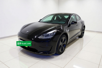特斯拉 Model 3 2020款 标准续航后驱升级版