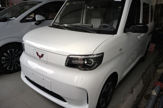五菱汽车 五菱之光新能源 2025款 305km 进取型