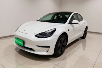 特斯拉 Model 3(进口) 2019款 长续航后驱版