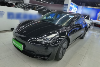 特斯拉 Model 3 2021款 改款 标准续航后驱升级版 3D1